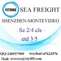 Shenzhen Port LCL Consolidation To Montevideo